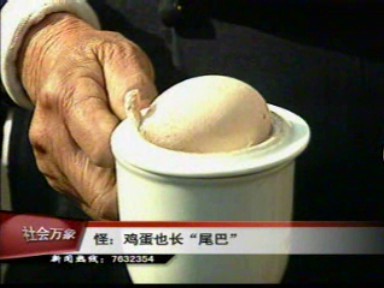 怪:雞蛋也長尾巴