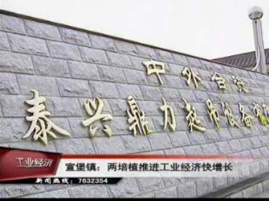 宣堡鎮(zhèn):兩培植推進工業(yè)經濟快增長
