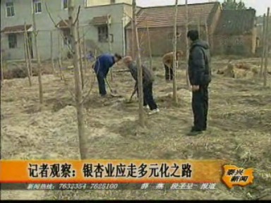 銀杏業(yè)應(yīng)走多元化之路