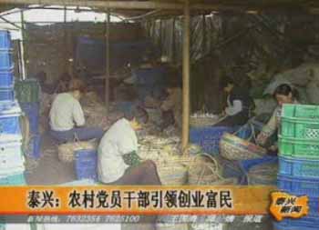 我市農(nóng)村黨員干部引領(lǐng)創(chuàng)業(yè)富民