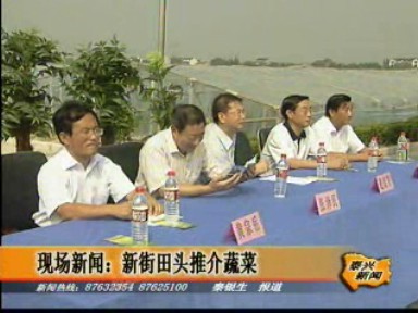 市委副書記張澤民參加新街鎮(zhèn)田頭蔬菜推介會