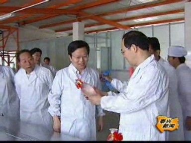 我國首條銀杏深加工酒灌裝線正式投產(chǎn)