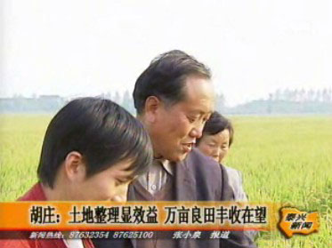 胡莊:土地整理顯效益 萬(wàn)畝良田豐收在望