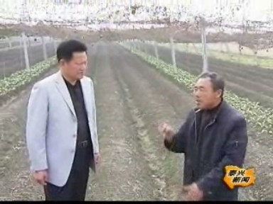 顧云江:勤廉為民 帶頭建設(shè)新農(nóng)村