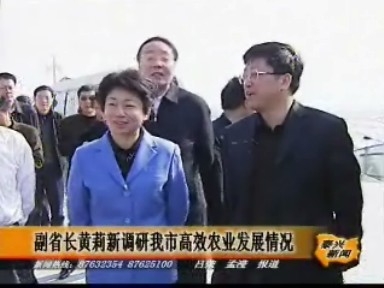 副省長黃莉新調(diào)研我市高效農(nóng)業(yè)發(fā)展情況