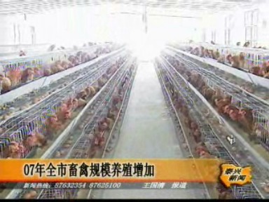 2007年全市畜禽規(guī)模養(yǎng)殖增加