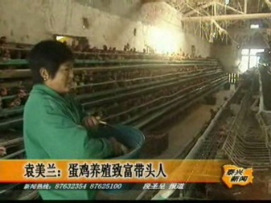 袁美蘭:蛋雞養(yǎng)殖致富帶頭人