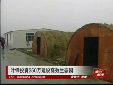 葉鋒投資350萬建設高效生態(tài)園