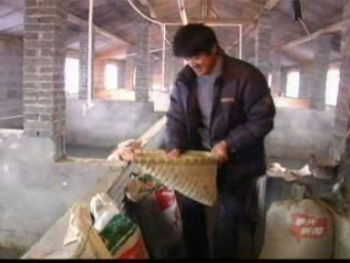 周躍進(jìn):殘疾豬倌 勤勞致富