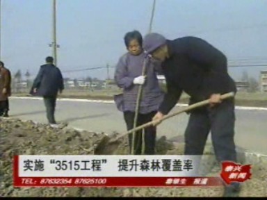 實(shí)施“3515工程” 提升森林覆蓋率