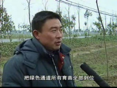 引入市場(chǎng)機(jī)制 提升林業(yè)綠化質(zhì)態(tài)