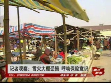 記者觀察:雪災(zāi)大棚受損 呼喚保險(xiǎn)意識(shí)