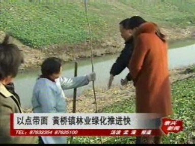 以點帶面 黃橋鎮(zhèn)林業(yè)綠化推進(jìn)快