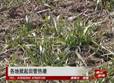 我市各地掀起田管熱潮