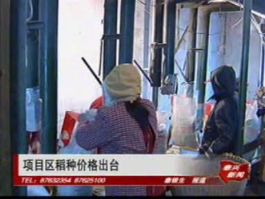 項目區(qū)稻種價格出臺