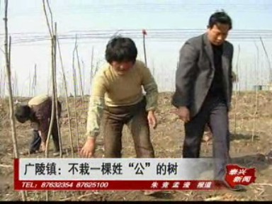 廣陵鎮(zhèn):不栽一棵姓“公”的樹(shù)