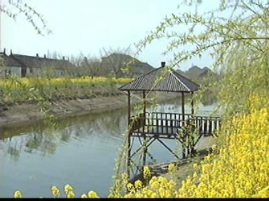 環(huán)境整治結(jié)碩果 農(nóng)村經(jīng)濟新發(fā)展