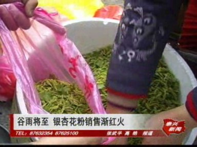 谷雨將至 銀杏花粉銷售漸紅火