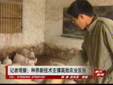 記者觀察:新種養(yǎng)技術(shù)支撐高效農(nóng)業(yè)發(fā)展