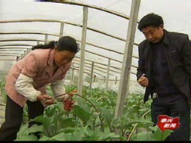 產(chǎn)業(yè)鏈上建支部 強基富民求雙贏