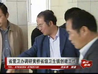 省愛衛(wèi)辦調(diào)研黃橋省級(jí)衛(wèi)生鎮(zhèn)創(chuàng)建工作